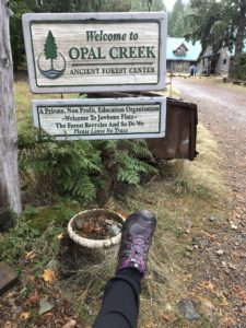 Thanks to Ari for this photo of the Opal Creek Ancient Forest Center sign! Ari likes to take pictures featuring one of her feet. We call them "foot-ies."