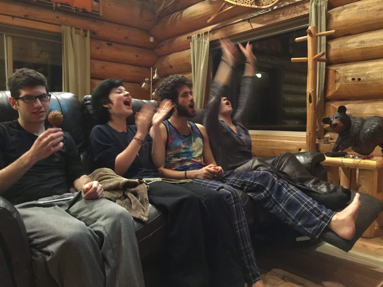 The crowd goes wild at our cozy cabin karaoke night.