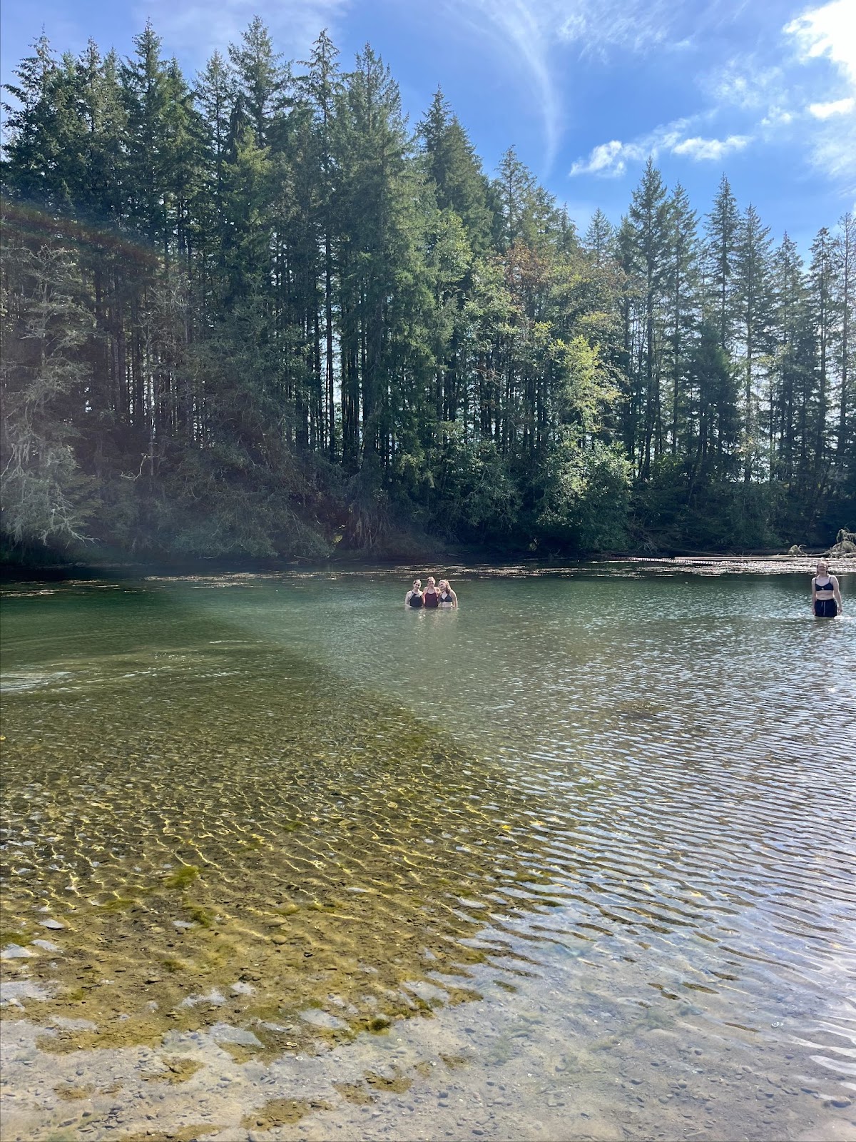 A photo of other Tivnoodles in the water at Ike Kinswa Park
