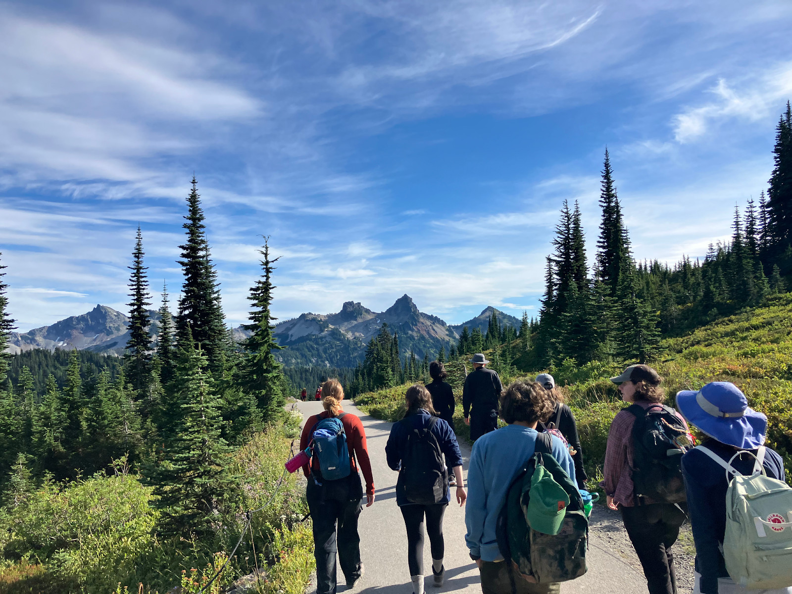 Our group as we hike along a trail on Mount Tahoma
